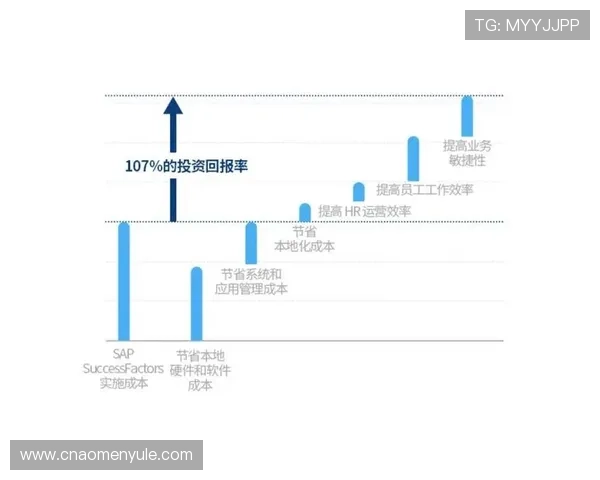 大富大贵角子机的娱乐价值与投资回报率分析，助你理性游戏获利