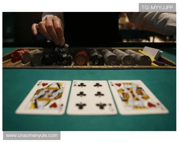 澳门六张赌牌持有者的财务状况与盈利能力全面评估